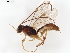  ( - BIOUG49610-G05)  @11 [ ] CreativeCommons - Attribution (2021) CBG Photography Group Centre for Biodiversity Genomics