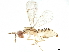  ( - BIOUG46768-A08)  @14 [ ] CreativeCommons - Attribution (2020) CBG Photography Group Centre for Biodiversity Genomics