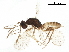  ( - BIOUG49790-H02)  @14 [ ] CreativeCommons - Attribution (2020) CBG Photography Group Centre for Biodiversity Genomics