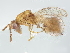  ( - BIOUG58884-B03)  @11 [ ] CreativeCommons - Attribution (2022) CBG Photography Group Centre for Biodiversity Genomics