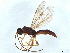  ( - BIOUG48838-A11)  @11 [ ] CreativeCommons - Attribution (2022) CBG Photography Group Centre for Biodiversity Genomics