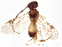  ( - BIOUG48966-H04)  @11 [ ] CreativeCommons - Attribution (2021) CBG Photography Group Centre for Biodiversity Genomics