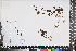  ( - APN_PLEC_5)  @11 [ ] No Rights Reserved (nrr)  Unspecified Unspecified