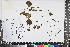  ( - APN_PLEC_148)  @11 [ ] No Rights Reserved (nrr)  Unspecified Unspecified