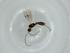  (Heterospilus Malaise4648 - BIOUG56761-C06)  @11 [ ] CreativeCommons - Attribution (2020) Centre for Biodiversity Genomics Centre for Biodiversity Genomics