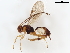  ( - BIOUG56782-C06)  @11 [ ] CreativeCommons - Attribution (2021) CBG Photography Group Centre for Biodiversity Genomics