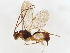  ( - BIOUG56785-C04)  @11 [ ] CreativeCommons - Attribution (2021) CBG Photography Group Centre for Biodiversity Genomics