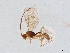  ( - BIOUG57276-A06)  @11 [ ] CreativeCommons - Attribution (2021) CBG Photography Group Centre for Biodiversity Genomics