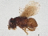  ( - BIOUG57913-H06)  @11 [ ] CreativeCommons - Attribution (2022) CBG Photography Group Centre for Biodiversity Genomics