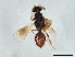  ( - BIOUG57953-D08)  @11 [ ] CreativeCommons - Attribution (2022) CBG Photography Group Centre for Biodiversity Genomics