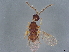  ( - BIOUG57354-E09)  @11 [ ] CreativeCommons - Attribution (2022) CBG Photography Group Centre for Biodiversity Genomics