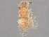  ( - BIOUG58616-E07)  @11 [ ] CreativeCommons - Attribution (2022) CBG Photography Group Centre for Biodiversity Genomics