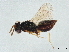  ( - BIOUG60816-C11)  @11 [ ] CreativeCommons - Attribution (2022) CBG Photography Group Centre for Biodiversity Genomics