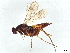  ( - BIOUG57015-D10)  @11 [ ] CreativeCommons - Attribution (2022) CBG Photography Group Centre for Biodiversity Genomics