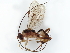  ( - BIOUG59690-H09)  @11 [ ] CreativeCommons - Attribution (2021) CBG Photography Group Centre for Biodiversity Genomics