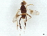  ( - BIOUG59837-D06)  @11 [ ] CreativeCommons - Attribution (2022) CBG Photography Group Centre for Biodiversity Genomics