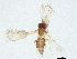  ( - BIOUG50767-F01)  @11 [ ] CreativeCommons - Attribution (2022) CBG Photography Group Centre for Biodiversity Genomics