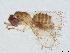  ( - BIOUG50837-B04)  @11 [ ] CreativeCommons - Attribution (2022) CBG Photography Group Centre for Biodiversity Genomics
