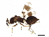  ( - BIOUG50894-E08)  @14 [ ] CreativeCommons - Attribution (2020) CBG Photography Group Centre for Biodiversity Genomics