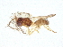  ( - BIOUG51109-D01)  @11 [ ] CreativeCommons - Attribution (2022) CBG Photography Group Centre for Biodiversity Genomics