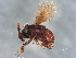  ( - BIOUG51016-C03)  @11 [ ] CreativeCommons - Attribution (2022) CBG Photography Group Centre for Biodiversity Genomics
