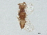  ( - BIOUG60180-F01)  @11 [ ] CreativeCommons - Attribution (2022) CBG Photography Group Centre for Biodiversity Genomics