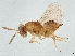  ( - BIOUG60288-B11)  @11 [ ] CreativeCommons - Attribution (2022) CBG Photography Group Centre for Biodiversity Genomics