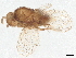  ( - BIOUG59565-A07)  @11 [ ] CreativeCommons - Attribution (2022) CBG Photography Group Centre for Biodiversity Genomics