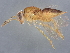  ( - BIOUG60056-C11)  @11 [ ] CreativeCommons - Attribution (2022) CBG Photography Group Centre for Biodiversity Genomics