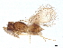  ( - BIOUG60945-C10)  @11 [ ] CreativeCommons - Attribution (2022) CBG Photography Group Centre for Biodiversity Genomics