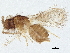  ( - BIOUG60973-B10)  @11 [ ] CreativeCommons - Attribution (2022) CBG Photography Group Centre for Biodiversity Genomics