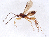  ( - BIOUG60992-E10)  @11 [ ] CreativeCommons - Attribution (2021) CBG Photography Group Centre for Biodiversity Genomics