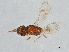  ( - BIOUG60995-E12)  @11 [ ] CreativeCommons - Attribution (2022) CBG Photography Group Centre for Biodiversity Genomics