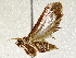  ( - BIOUG73019-G08)  @11 [ ] CreativeCommons - Attribution (2021) CBG Photography Group Centre for Biodiversity Genomics