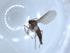  ( - BIOUG51346-A12)  @12 [ ] CreativeCommons - Attribution (2019) Centre for Biodiversity Genomics Centre for Biodiversity Genomics