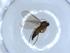  ( - BIOUG51346-B07)  @12 [ ] CreativeCommons - Attribution (2019) Centre for Biodiversity Genomics Centre for Biodiversity Genomics
