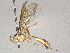  ( - BIOUG51330-F01)  @11 [ ] CreativeCommons - Attribution Share - Alike (2024) CBG Photography Group Centre for Biodiversity Genomics