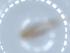  ( - BIOUG51340-G11)  @11 [ ] CreativeCommons - Attribution (2019) Centre for Biodiversity Genomics Centre for Biodiversity Genomics