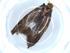  ( - BIOUG51368-G05)  @11 [ ] CreativeCommons - Attribution (2019) Centre for Biodiversity Genomics Centre for Biodiversity Genomics