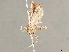  (chryBioLep01 BioLep0357 - BIOUG51074-F05)  @11 [ ] CreativeCommons - Attribution (2020) CBG Photography Group Centre for Biodiversity Genomics