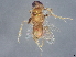  ( - BIOUG60684-G02)  @11 [ ] CreativeCommons - Attribution (2022) CBG Photography Group Centre for Biodiversity Genomics