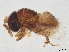  ( - BIOUG60687-H09)  @11 [ ] CreativeCommons - Attribution (2022) CBG Photography Group Centre for Biodiversity Genomics