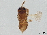  ( - BIOUG56645-A02)  @11 [ ] CreativeCommons - Attribution (2022) CBG Photography Group Centre for Biodiversity Genomics