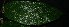  ( - XM_0745_L)  @11 [ ] CreativeCommons - Attribution Non-Commercial Share-Alike (2015) Cam Webb, Endro Setiawan & Hery Yanto Arnold Arboretum of Harvard University