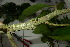  ( - XM_0844_J)  @11 [ ] CreativeCommons - Attribution Non-Commercial Share-Alike (2015) Cam Webb, Endro Setiawan & Hery Yanto Arnold Arboretum of Harvard University