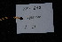  (Pleioluma firma - XM_0847_J)  @11 [ ] CreativeCommons - Attribution Non-Commercial Share-Alike (2015) Cam Webb, Endro Setiawan & Hery Yanto Arnold Arboretum of Harvard University