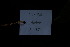  ( - XM_0850_J)  @11 [ ] CreativeCommons - Attribution Non-Commercial Share-Alike (2015) Cam Webb, Endro Setiawan & Hery Yanto Arnold Arboretum of Harvard University