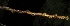  ( - YR_0057_K)  @11 [ ] CreativeCommons - Attribution Non-Commercial Share-Alike (2015) Cam Webb, Endro Setiawan & Hery Yanto Arnold Arboretum of Harvard University