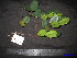  ( - XM_0125)  @11 [ ] CreativeCommons - Attribution Non-Commercial Share-Alike (2011) Cam Webb, Endro Setiawan & Hery Yanto Unspecified