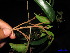  ( - XM_0215)  @11 [ ] CreativeCommons - Attribution Non-Commercial Share-Alike (2011) Cam Webb, Endro Setiawan & Hery Yanto Unspecified